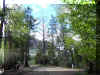 Scene2