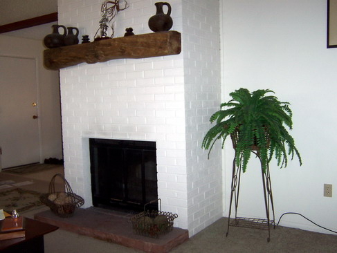 Living Room Fireplace