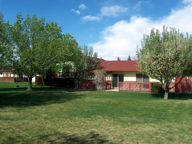 Backyard & Deck