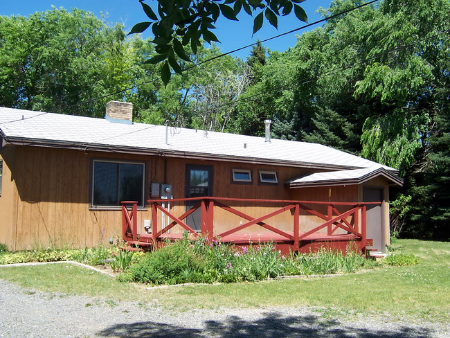 Back yard