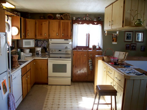Kitchen view