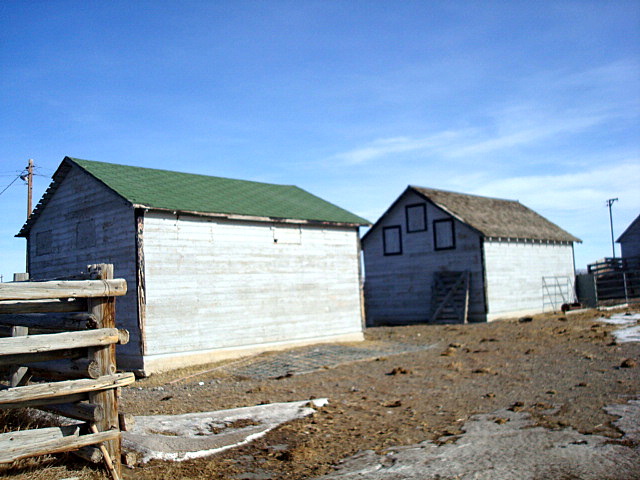 Shed view2