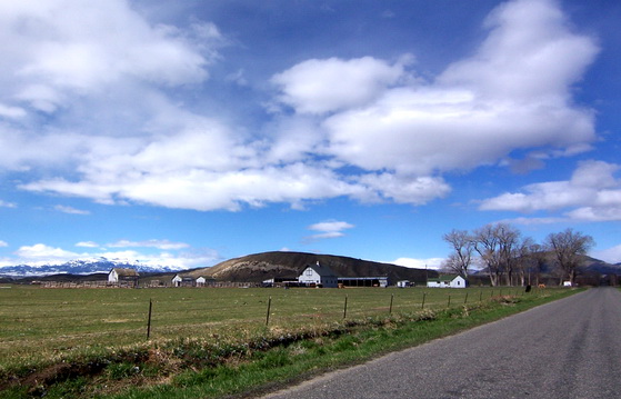 Property view3