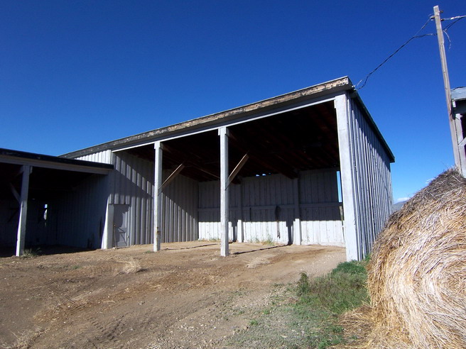 Shed view