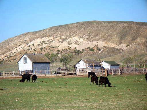 Property view9