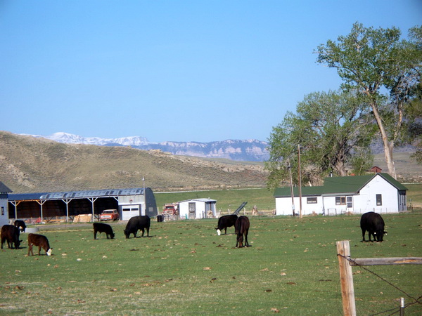 Property view1