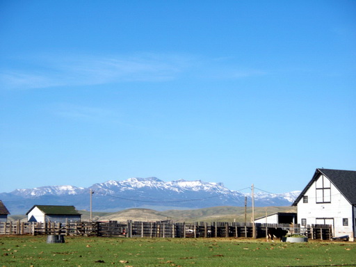 Shed view5