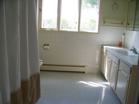 Bathroom View 1