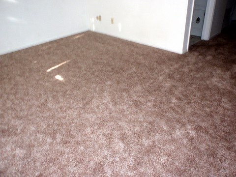 Interior 2