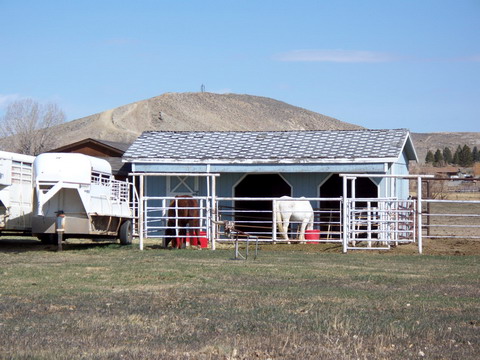 Horse Shelter