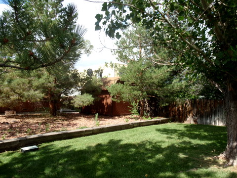 Backyard view
