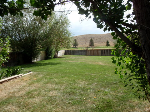 Backyard view