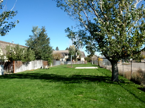 Commons 1