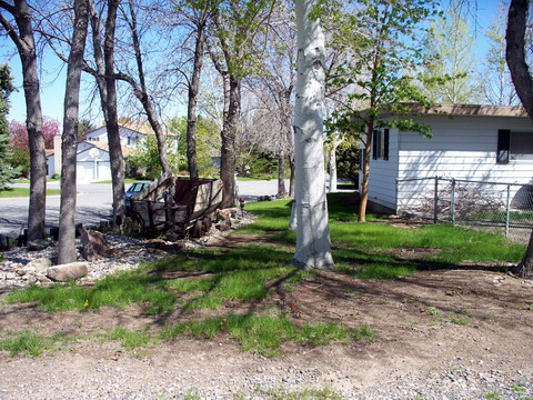 backyard