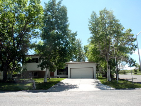 Front View