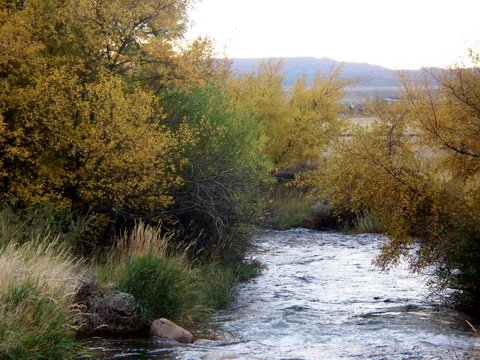 Stream 1