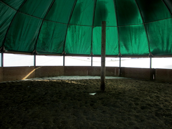 Arena 2